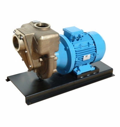 Pompy GMP Pumps Bronze